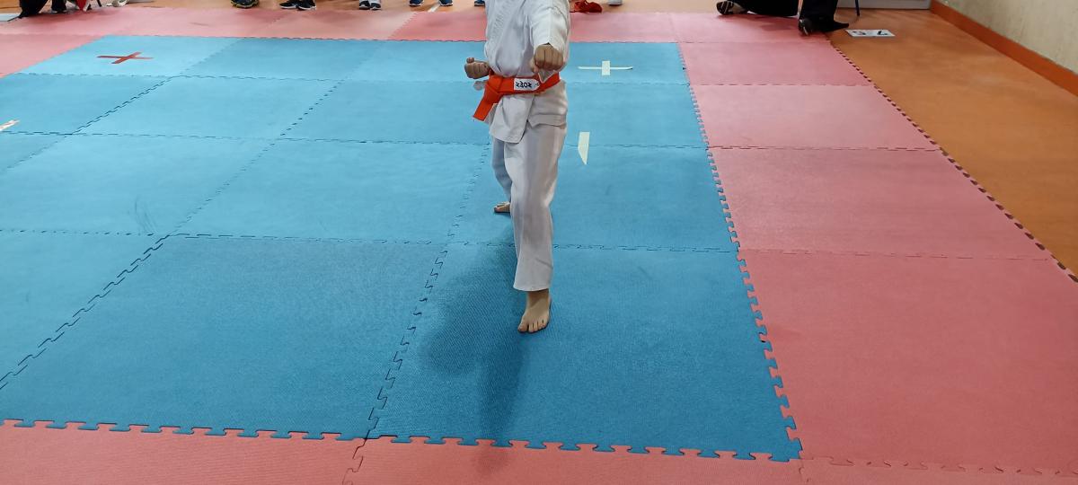 karate-prvenstvo-vares-6