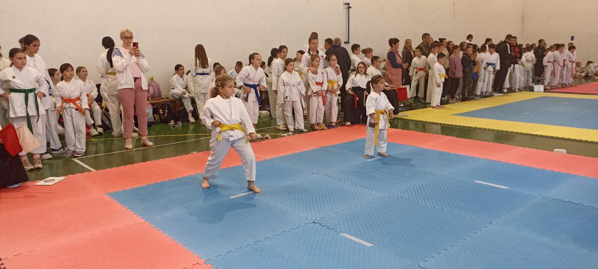 karate-turnir-Drvar-32