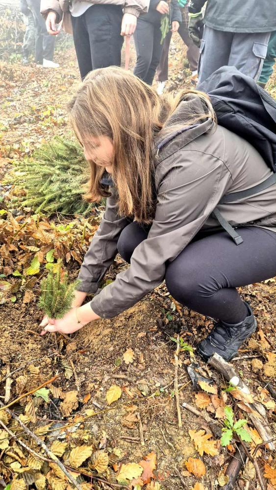 Kao-prvo-posadi-drvo-13