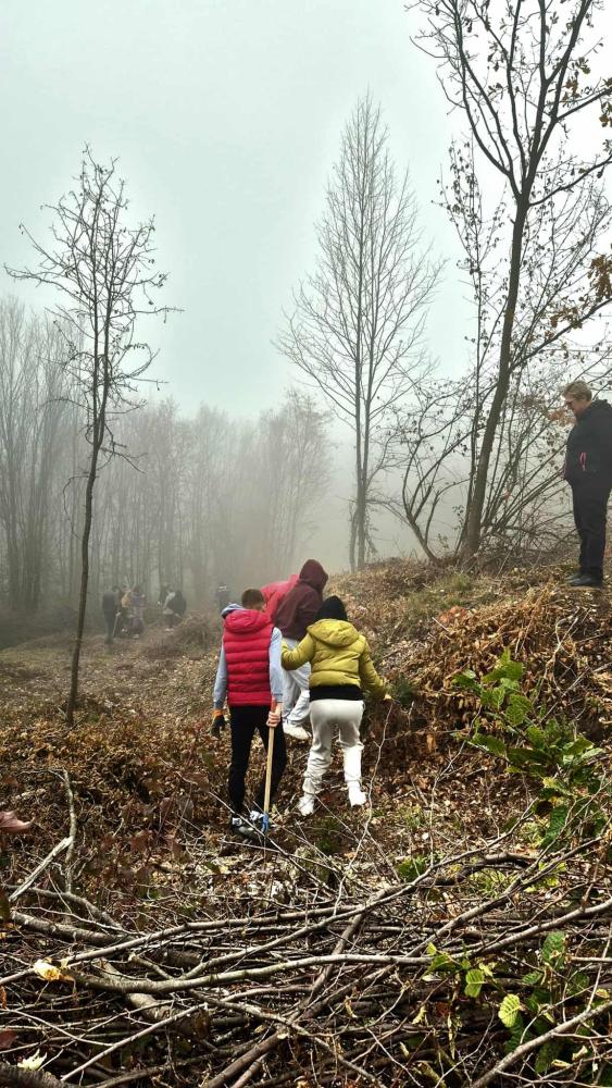 Kao-prvo-posadi-drvo-16