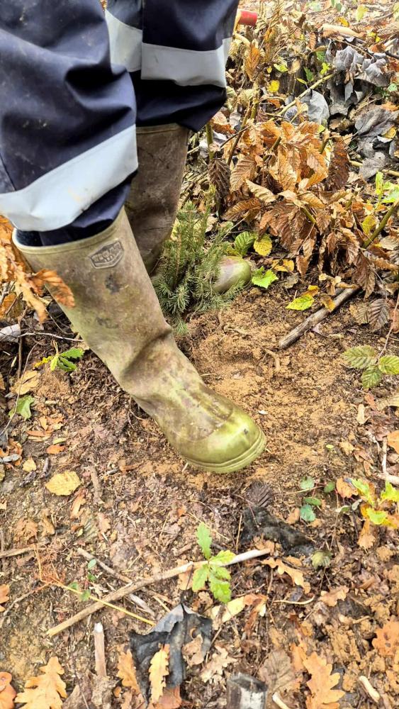 Kao-prvo-posadi-drvo-19