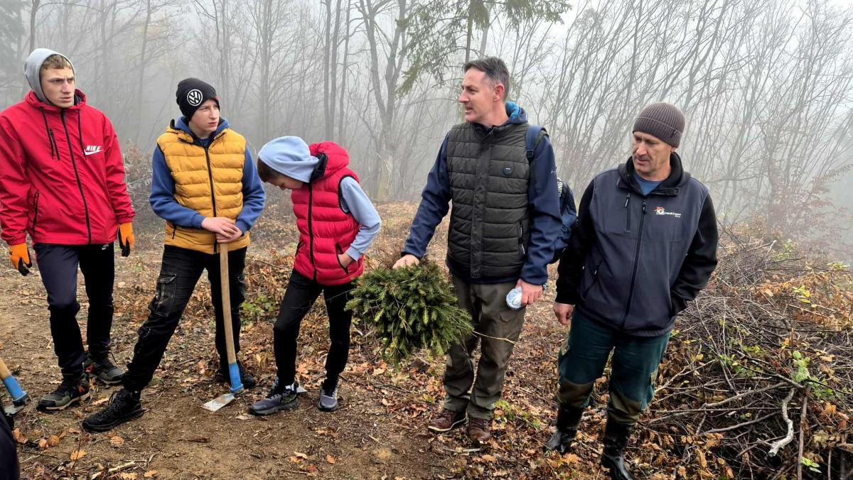 Kao-prvo-posadi-drvo-2