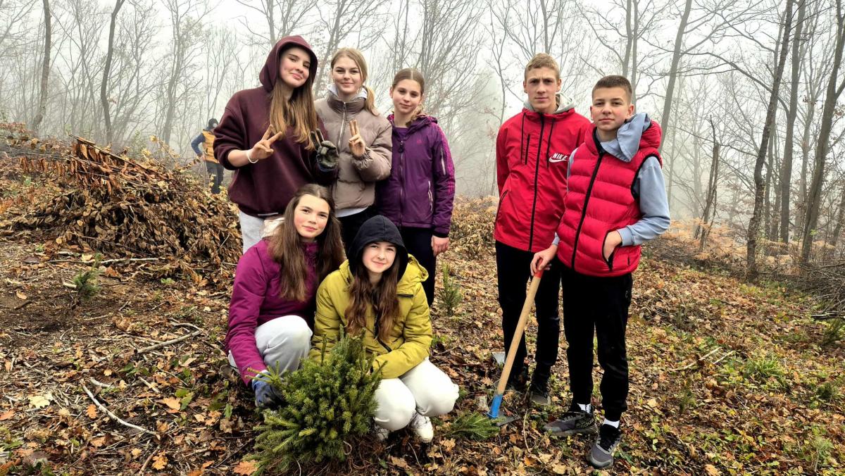 Kao-prvo-posadi-drvo-20