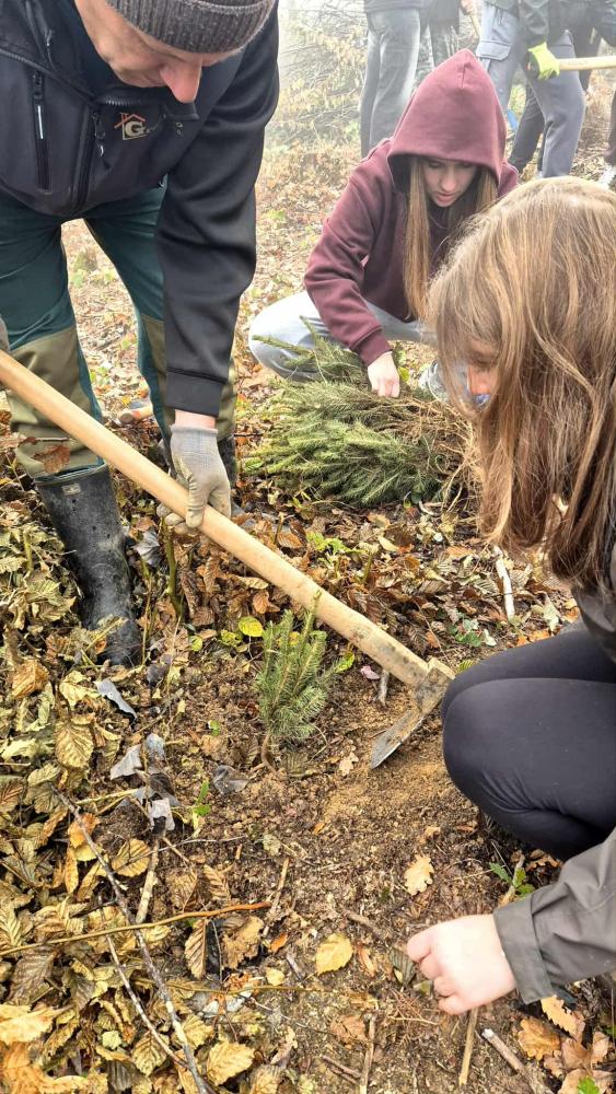 Kao-prvo-posadi-drvo-24