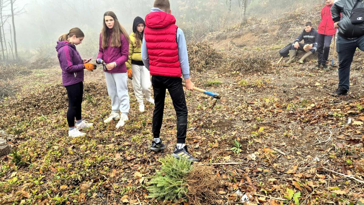 Kao-prvo-posadi-drvo-25