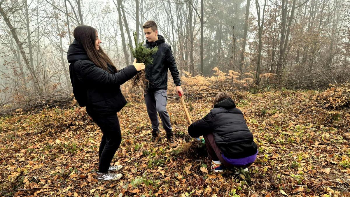 Kao-prvo-posadi-drvo-4