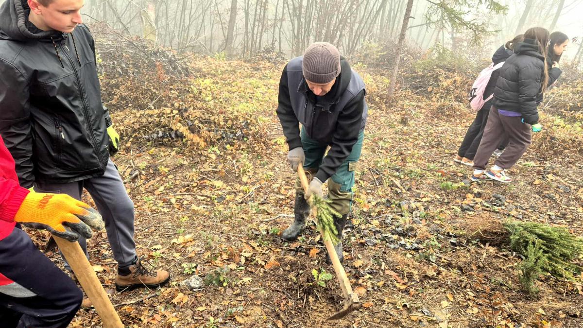 Kao-prvo-posadi-drvo-9