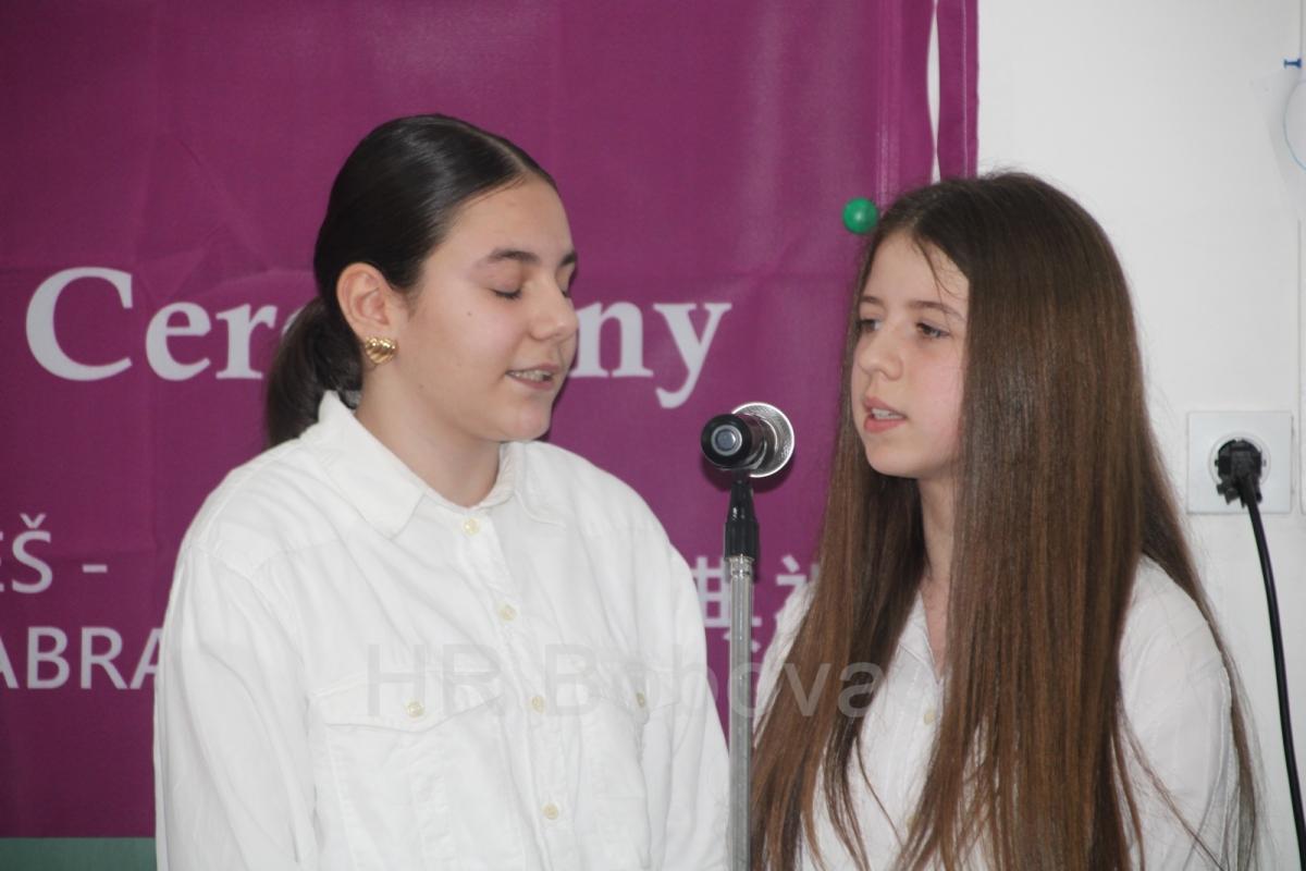 IMG0042-DabravineGrijanje