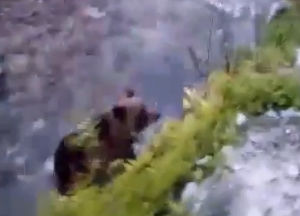 Medvjed se prošetao koritom rijeke Stavnje