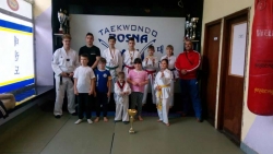 Taekwondoisti iz Vareša na 