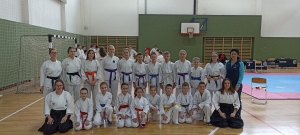 Karate klub Vareš treći ekipno na državnom prvenstvu, Inela najbolja juniorka