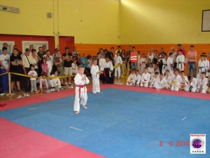 3. Karate kup Vareš 2013.