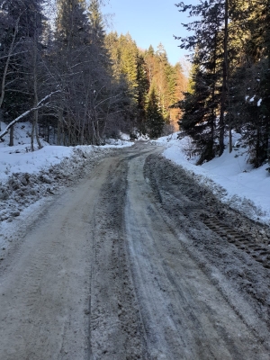 Zimsko (ne)održavanje regionalne ceste R-444