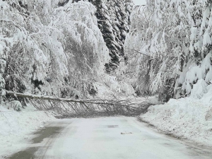 Veliki problemi posljedica snježnih padavina u Varešu