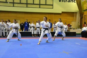 Nove medalje za Karate klub Vareš iz Slovenije