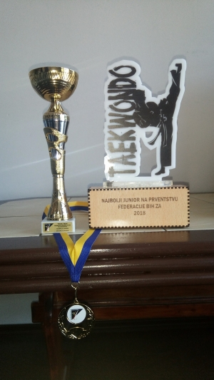 Patrik najbolji junior prvenstva FBiH u teakwondou