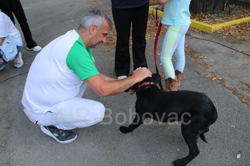 Street-fest-vares-9