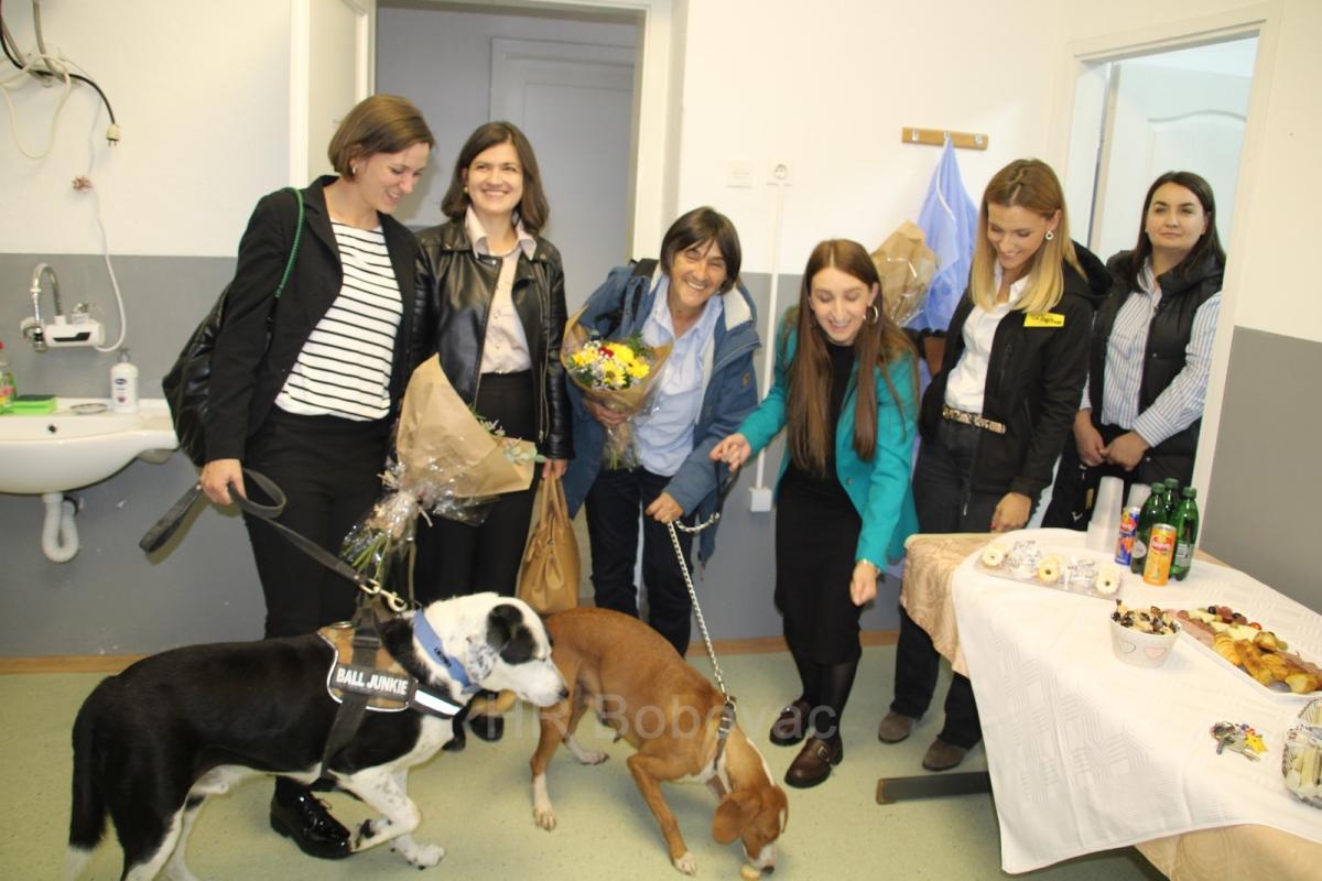 IMG7910-dogstrust