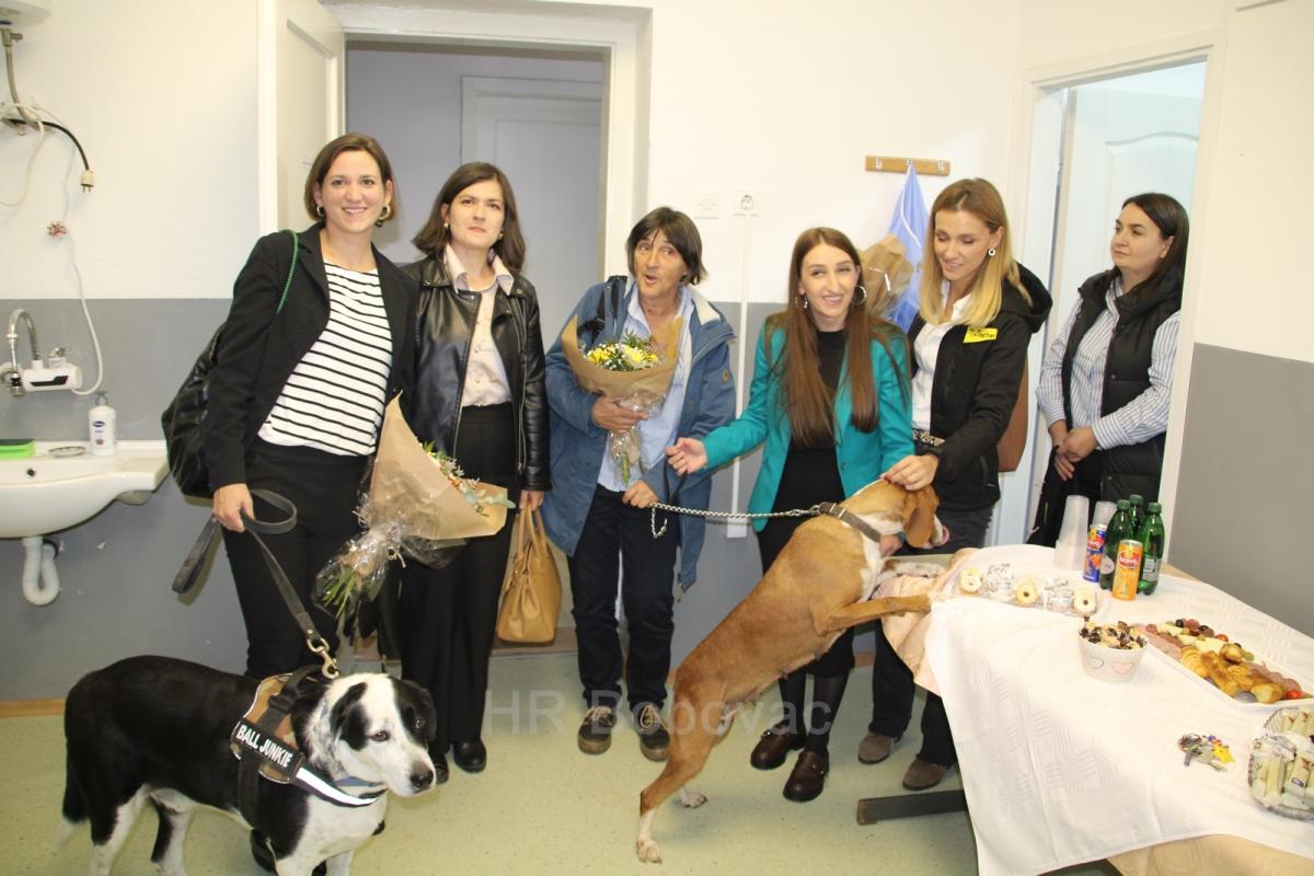 IMG7914-dogstrust