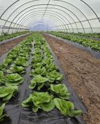 Ministar-Jasmin-aji-odrao-radni-sastanak-u-Kaknju-o-unapreenju-poljoprivrede-5