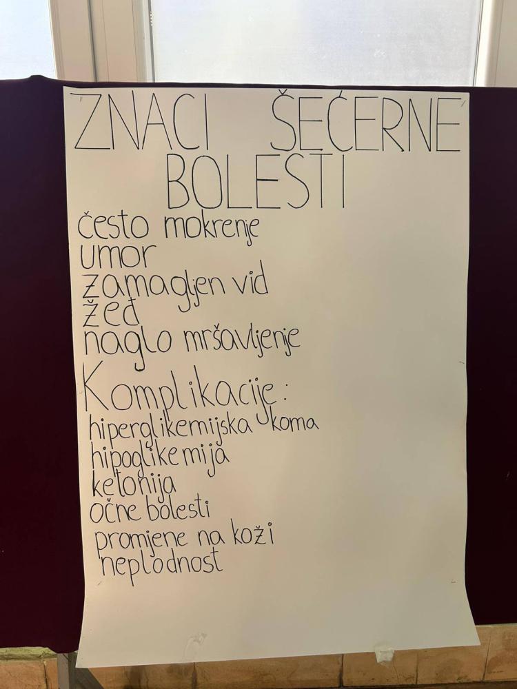 MSS-Svjetski-dan-borbe-protiv-dijabetesa-4