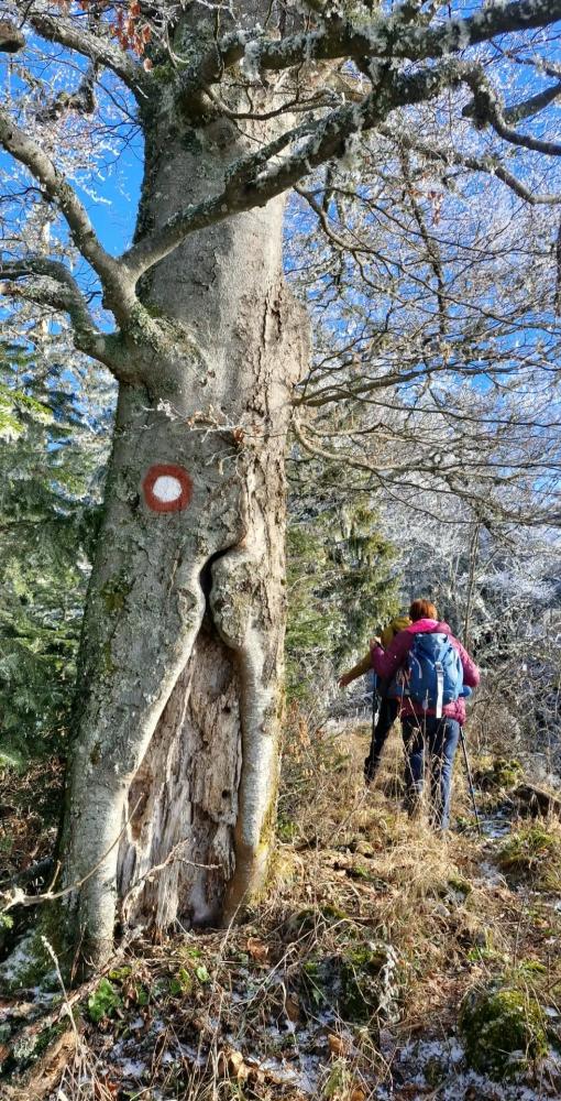 PSD-Perun-Mekuse-mars-11