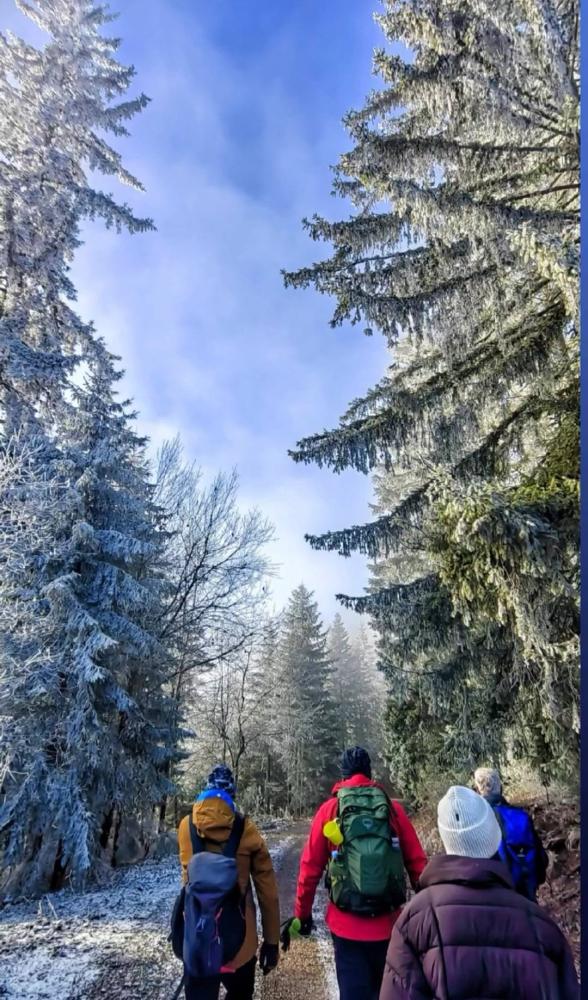 PSD-Perun-Mekuse-mars-16