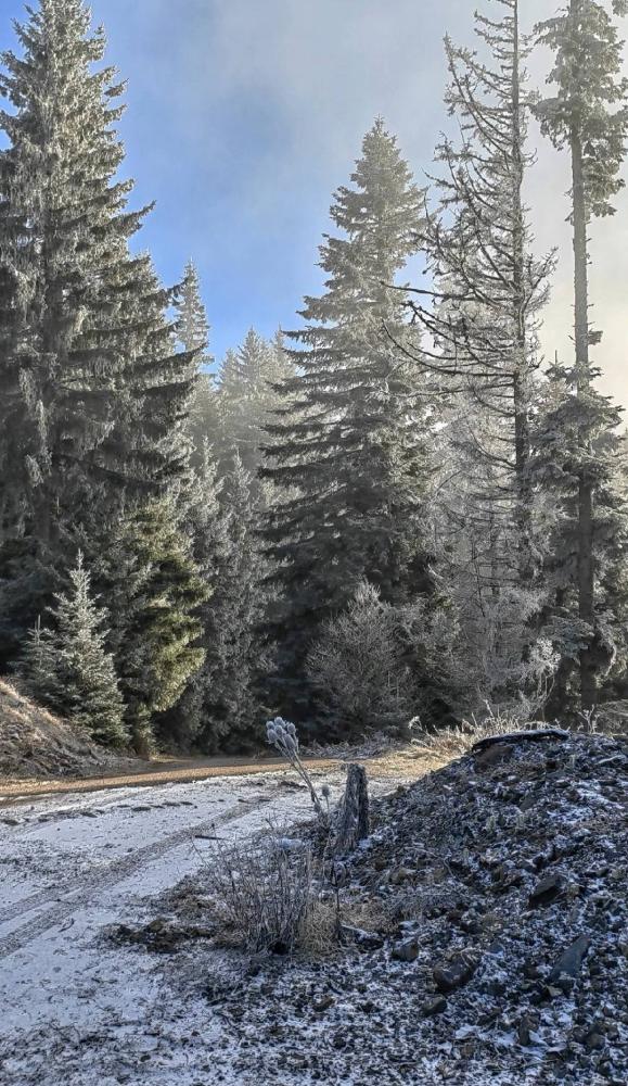 PSD-Perun-Mekuse-mars-18