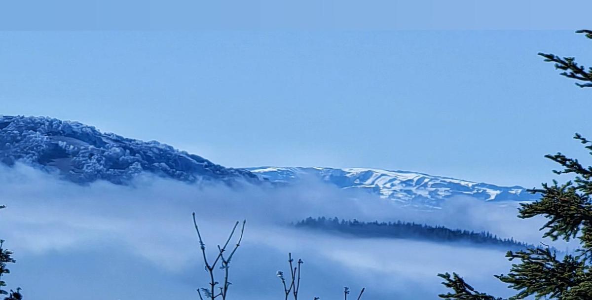 PSD-Perun-Mekuse-mars-21