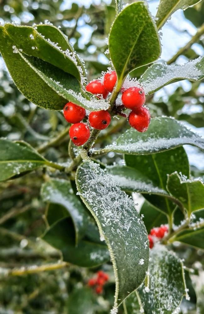 PSD-Perun-Mekuse-mars-22