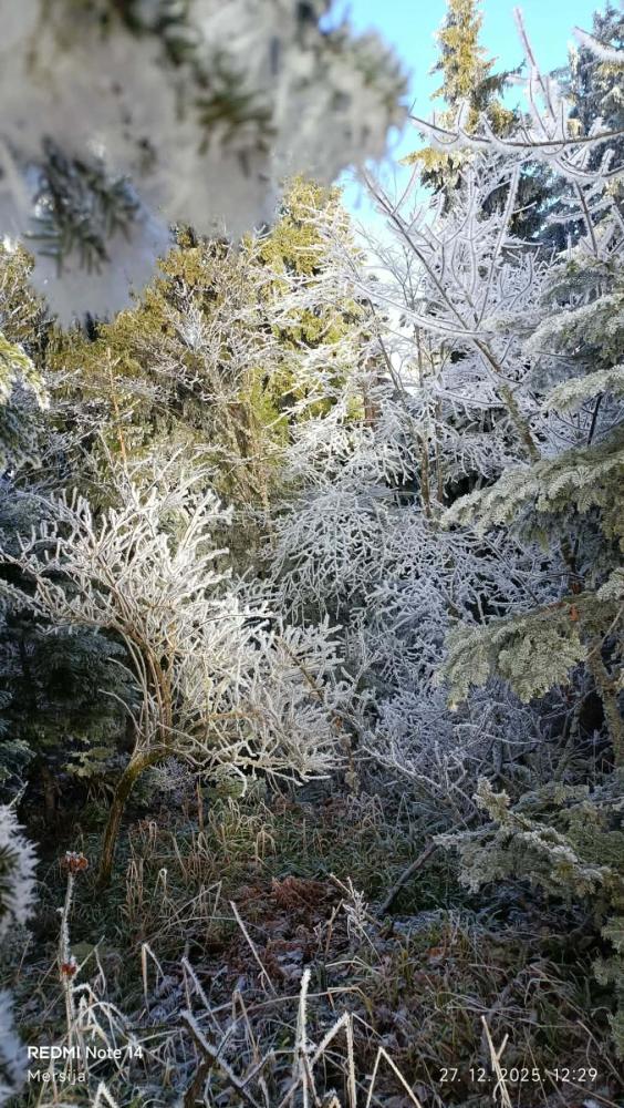 PSD-Perun-Mekuse-mars-43