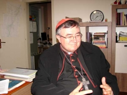 Kardinal Vinko Puljić u Varešu