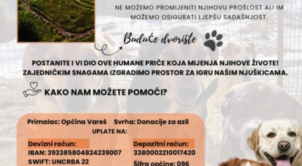 Apel za pomoć psima u azilu  - pomozimo zajedno našim njuškicama