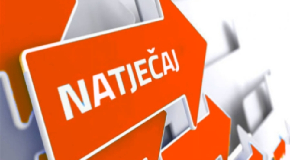 NA T J E Č A J za dodjelu stipendija  studentima - braniteljima i članovima njihovih obitelji za studijsku 2025/2026. godinu